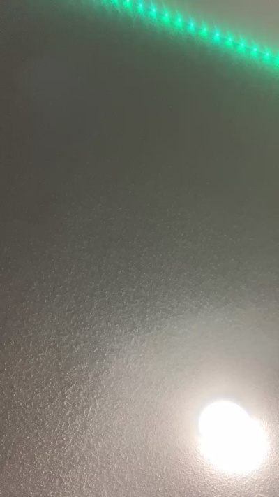 Buzz_Bunni_Bit live from United States